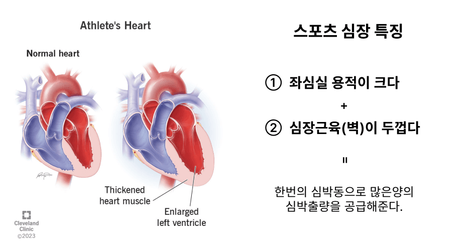 65e5719425b5751f7db721f9 Frame 154